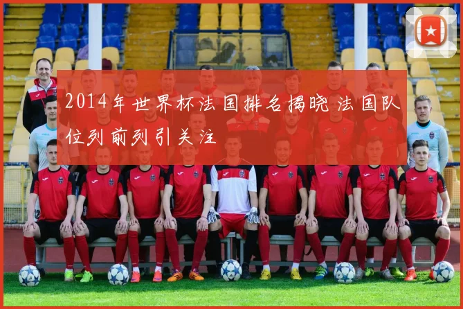 2014年世界杯法国排名揭晓 法国队位列前列引关注