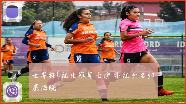 世界杯C组出冠军出炉 小组头名归属揭晓